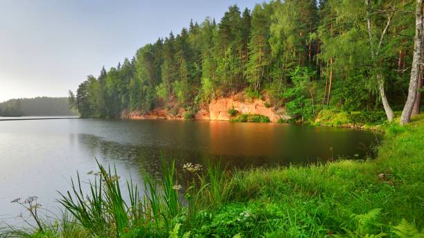 istock Sandstone cliffs in Gauja national park, Latvia 1014465270