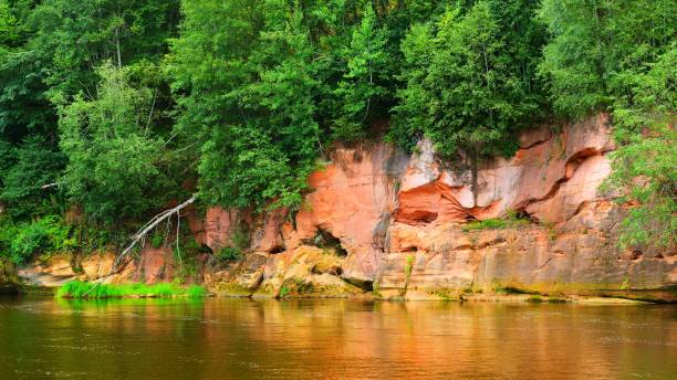 istock Sandstone cliffs in Gauja national park, Latvia 1014465358