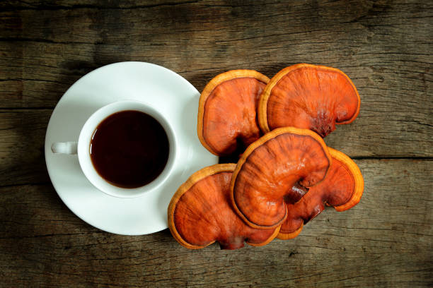 Cup of reishi tea and fresh Lingzhi mushroom on dark wooden floor. Cup of reishi tea and fresh Lingzhi mushroom on dark wooden floor. (Ganoderma Lucidum). Chinese traditional medicine and nutritive value. ganoderma lucidum stock pictures, royalty-free photos & images