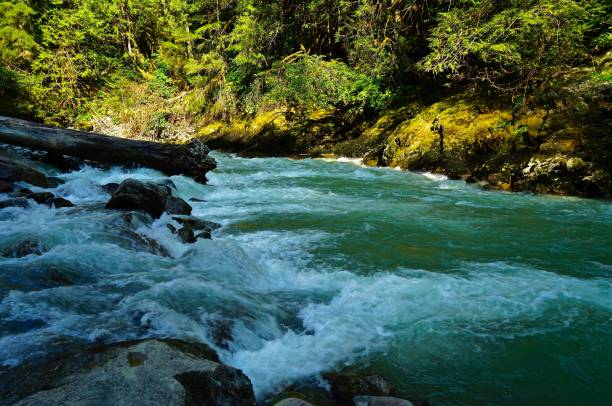 North Cascades Green River