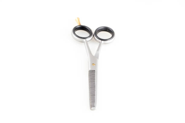 istock Metal professional scissors for haircuts isolated on white background 1014488992