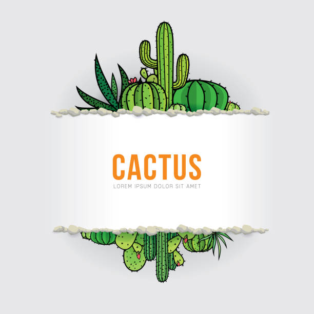 ilustraciones, imágenes clip art, dibujos animados e iconos de stock de cactus - ornamental garden plant tropical climate desert