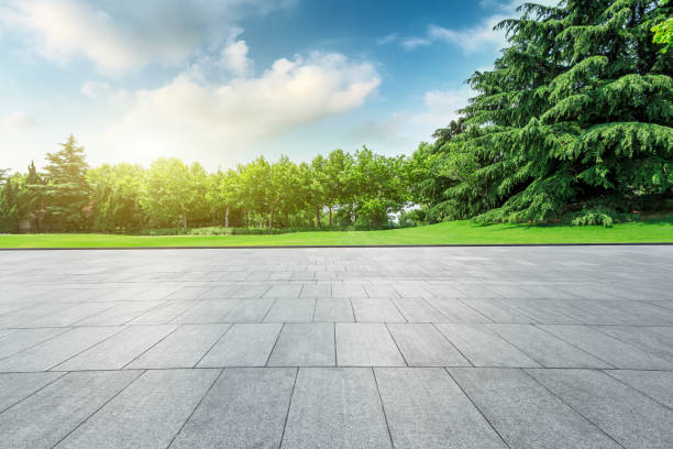 istock Square floor and green forest natural landscape 1014499478