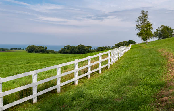 White fence along green grass field stock photo