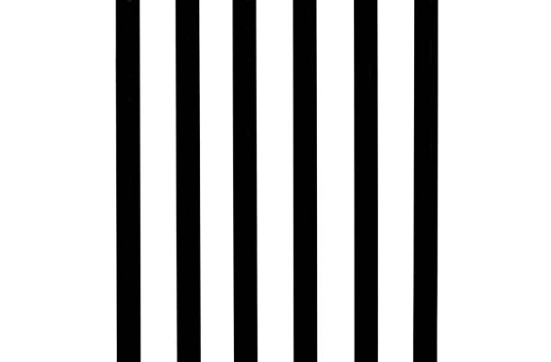 istock Black steel bars against white wall, abstract background, copy space 1014513614