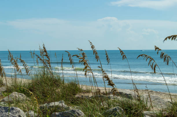 Beautiful day at the beach