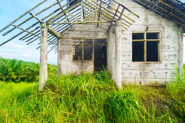 Image of burned old house overgrown with bushes in the forest