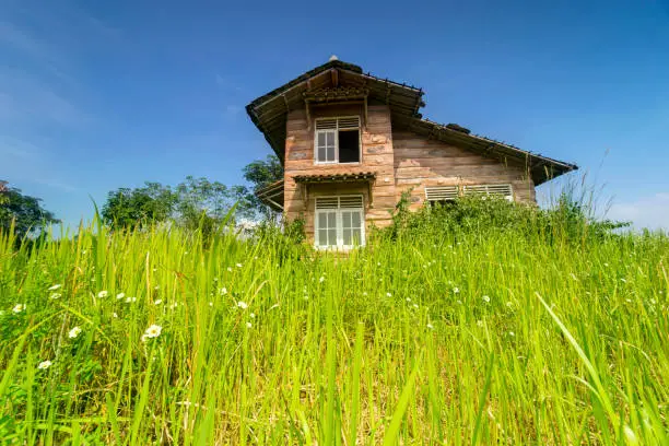 Low angle view of an old wooden house in disrepair overgrown with bushes