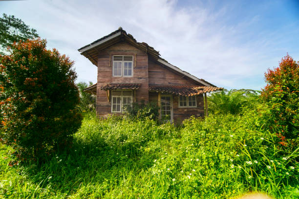 istock Old deserted house overgrown with bushes 1014541558