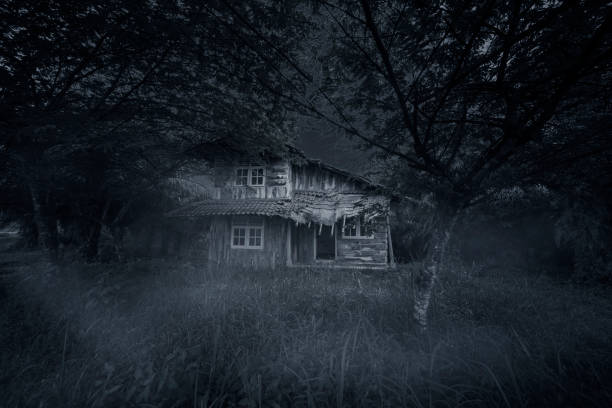 istock Spooky wooden house at night time 1014541588