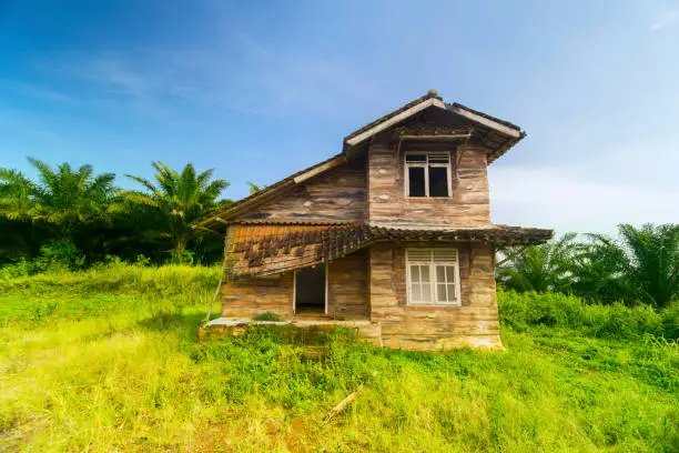 Image of ruined old house among trees under blue sky. Shot in the forest