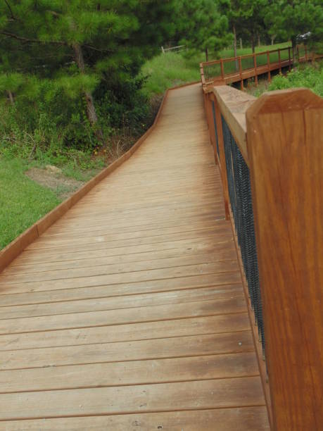 istock Scenic Views - Park - Lake - Walking Trail 1014549968