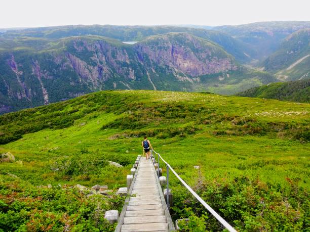 istock hiking into Gros Morne 1014558388