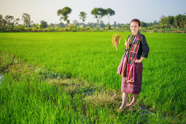 istock farmer woman holding rice in field 1014558394