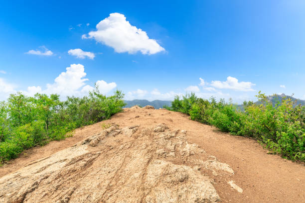 istock Mountain peak rock road platform and green trees 1014566378