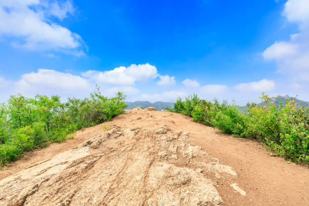 istock Mountain peak rock road platform and green trees 1014568350