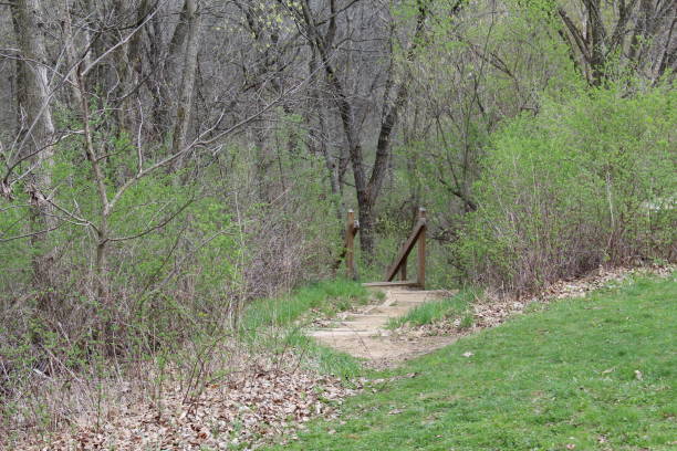istock Sunday Afternoon In Governor Dodge State Park 1014585554