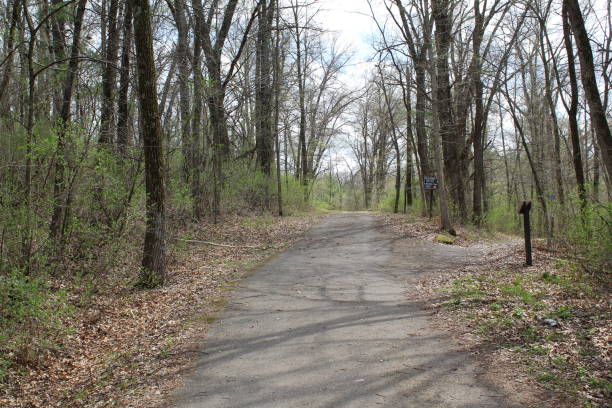 Sunday Afternoon In Governor Dodge State Park