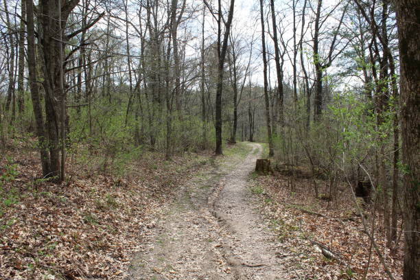 istock Sunday Afternoon In Governor Dodge State Park 1014587850