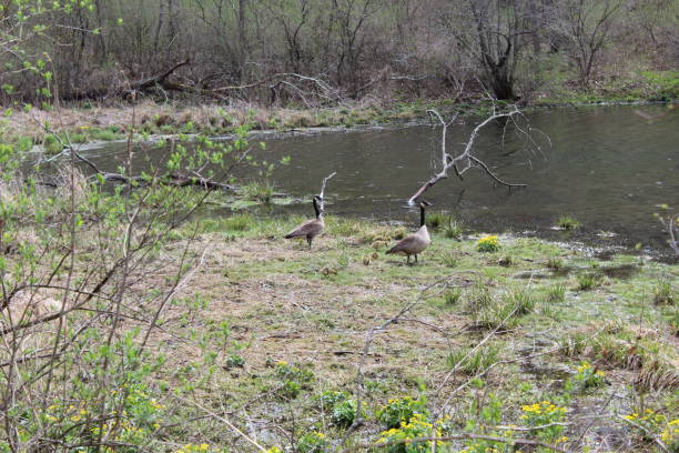 Sunday Afternoon In Governor Dodge State Park