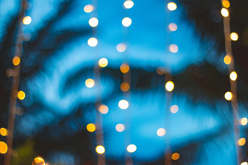 bokeh luz borrosa con fondo de árbol de Palma de coco en puesta de sol photo