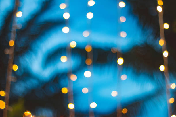 istock blurred light bokeh with coconut palm tree background on sunset 1014593190