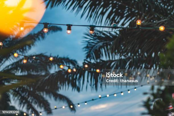 Blurred Light Bokeh With Coconut Palm Tree Background On Sunset Yellow String Lights With Bokeh Decor In Outdoor Restaurant Stock Photo - Download Image Now