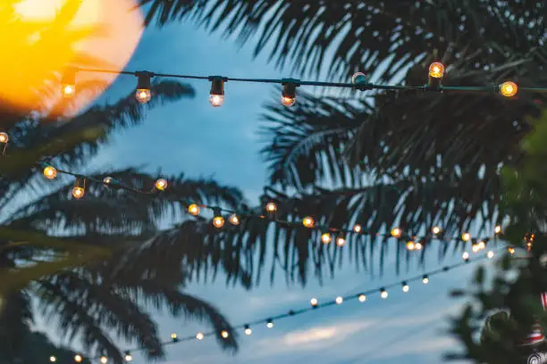 Photo of blurred light bokeh with coconut palm tree background on sunset, yellow string lights with bokeh decor in outdoor restaurant