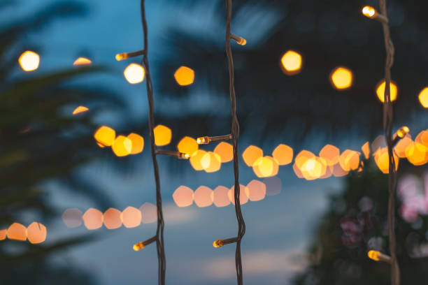 istock blurred light bokeh with coconut palm tree background on sunset, yellow string lights with bokeh decor in outdoor restaurant. 1014593202