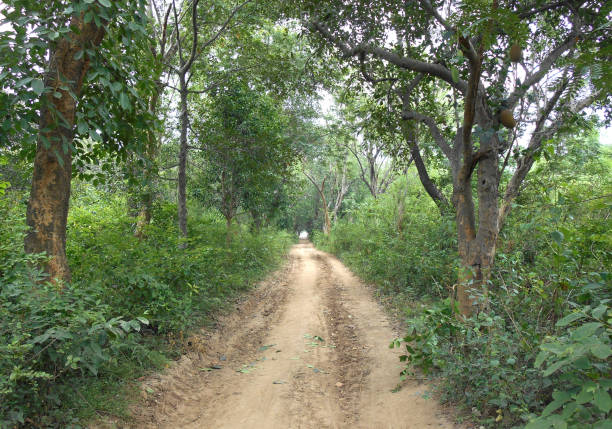 istock A beautiful place in village 1014595598
