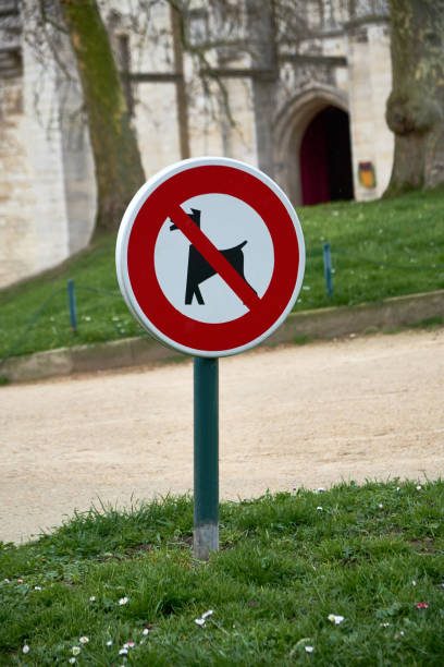 istock No dog entry ban, a sign 1014605994
