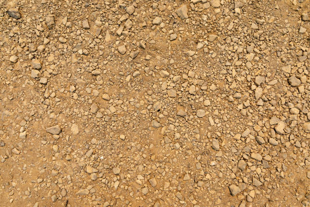 istock Shasta Lake Rock and Sand Floor 1 1014615982