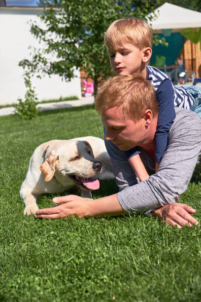 istock Labrador, man and boy sitting on the grass 1014618960