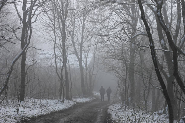 istock People walking by misty road in the park 1014619256