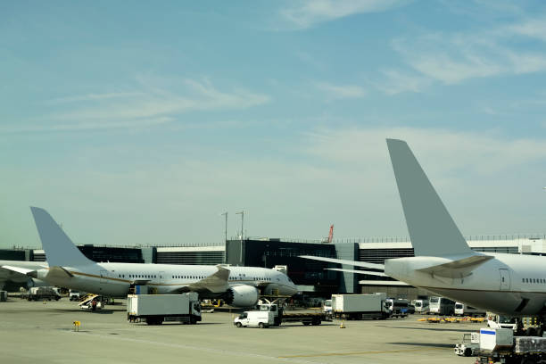 istock Airplane in airport 1014634924
