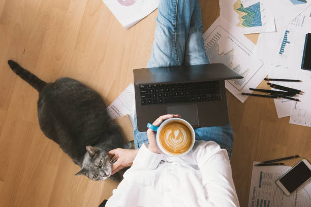 istock Girl working from home with her cat assistant 1014635208