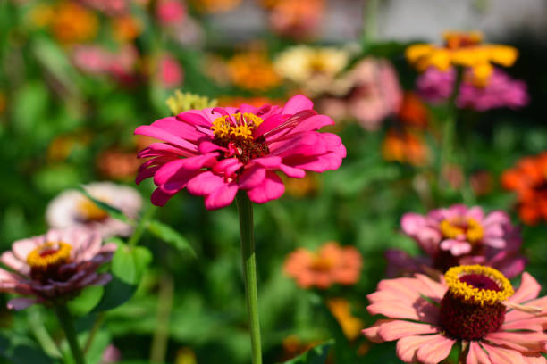 istock the colors of life 1014638004