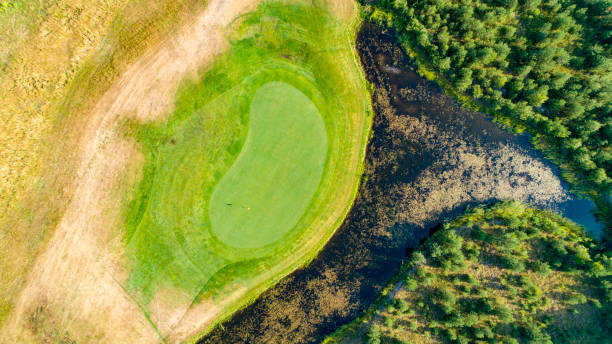 istock Golf green surrounded by water traps and forest 1014638202