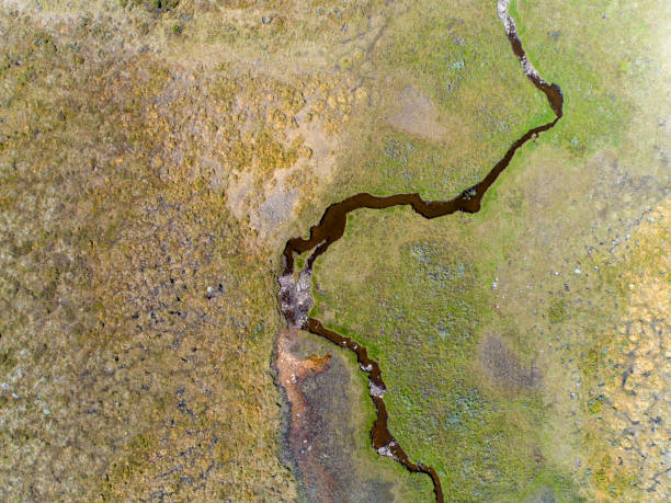 istock River passing through a green savannah landscape 1014640238