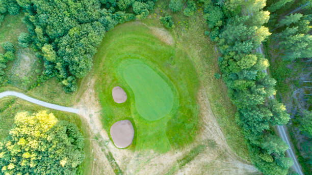 istock Golf green surrounded by sand traps and forest 1014640276