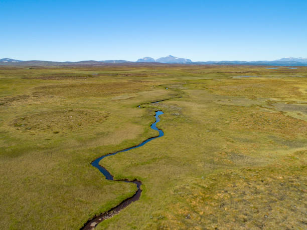 istock River passing through a green savannah landscape 1014640354