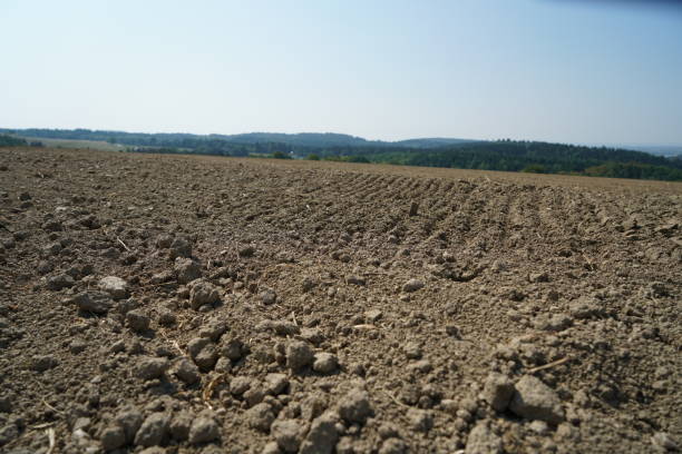 istock The extreme heat in Germany 1014648608