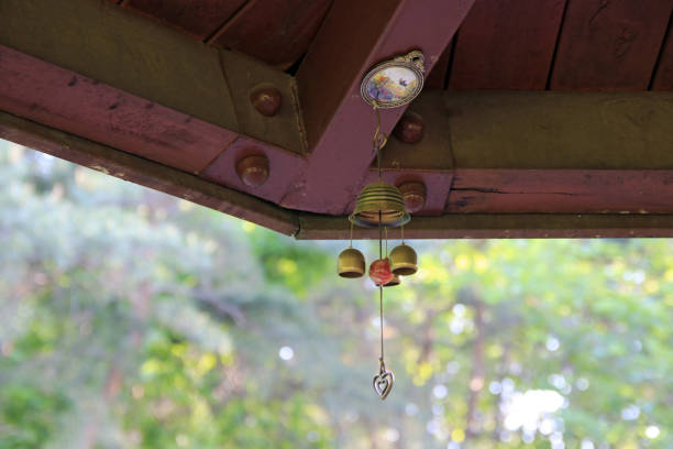 istock Hwanghaksan Arboretum 1014648894