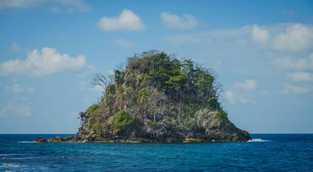 istock small island isolated in ocean water - tropical island 1014648926