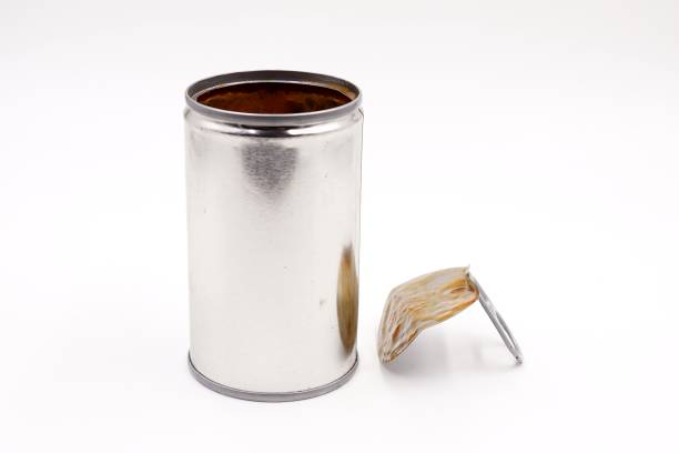 istock Canned sardines in tomato sauce 1014658304