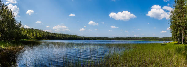 istock Summer landscape - lake shore in sunny day 1014660896