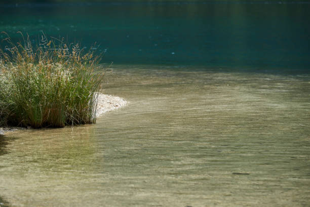 hintersee - alm bavaria mountain summer stock-fotos und bilder