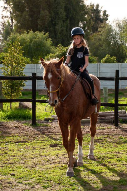 istock young girl on horse back 1014694740