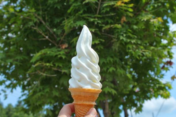 istock Soft serve ice cream,background tree of green leaves 1014695206