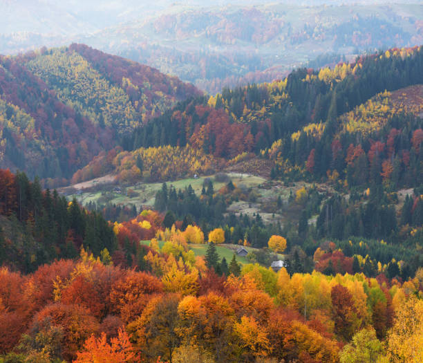 istock Autumn landscape with a beautiful forest on the slopes 1014697802